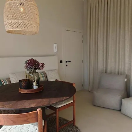 아파트 Luxurious Sea & Dune View With 2 Terraces 코크시데